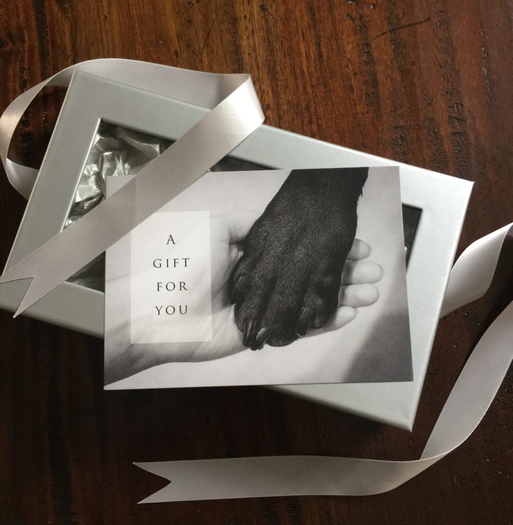 Gift Certificate with box and ribbon